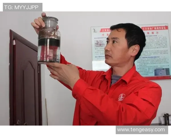 深圳排球队进攻革新之路探索与实践的深度剖析与展望