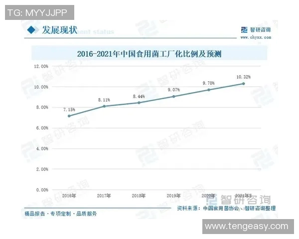 深入探讨V5的节奏表现与数据分析背后的策略与影响