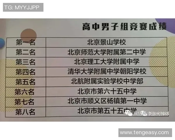 深入探讨北京排球队近期状态表现与数据分析的综合研究