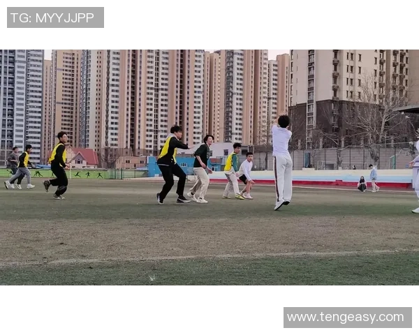 飞盘运动的魅力与挑战：深入探讨西安飞盘队的灵活性与团队协作