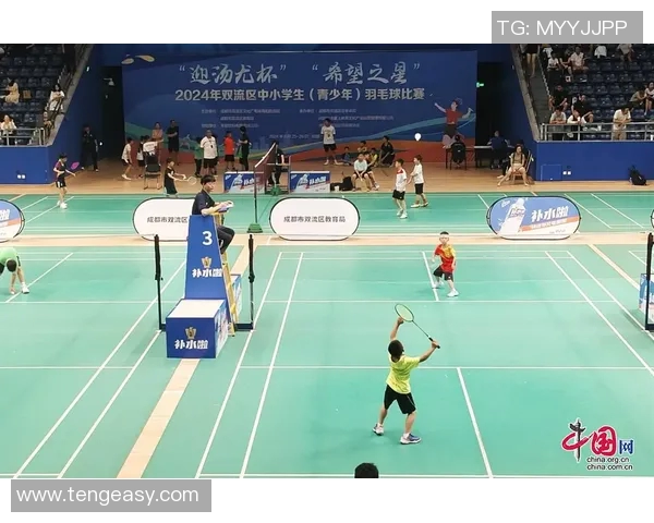 广州羽毛球队与深圳羽毛球队赛后分析个人能力对比与表现评估