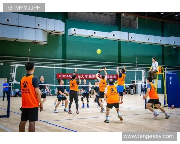 聚焦排球战术探讨：成都排球队如何提升比赛竞争力与团队协作能力