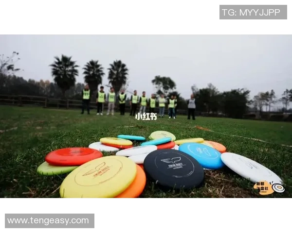 重庆飞盘队引领潮流最新飞盘意识TOP10全面解析