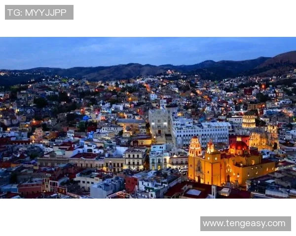 布莱克尼的魅力探索：揭开这座城市的历史与文化之美