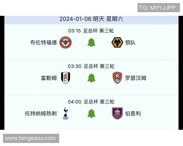 狼队迎战布伦特福德全力争胜力争英超积分榜上升