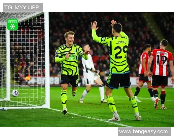 谢菲联与布莱顿激战在即谁能在英超赛场上笑到最后