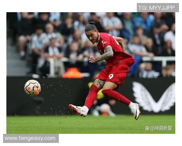 努涅斯的崛起与挑战：解析这位新星在足球世界的影响力与未来潜力