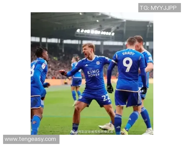 西布罗姆维奇主场迎战莱斯特城期待精彩对决与胜利的较量