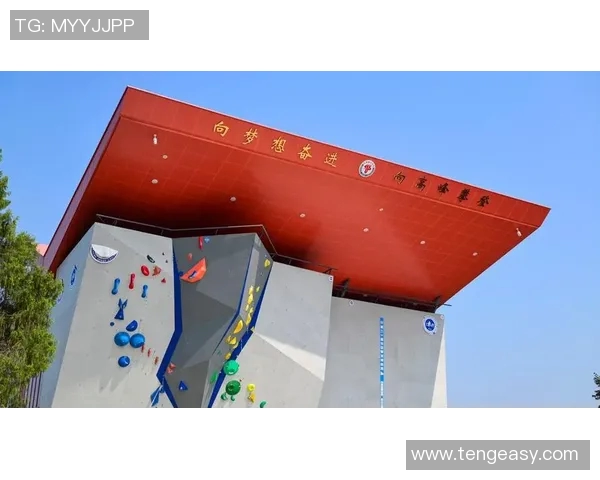 成都攀岩队的转型之路与深度探索攀岩运动的未来发展MBA 成都攀岩队的转型之路与深度探索攀岩运动的未来发展MBA