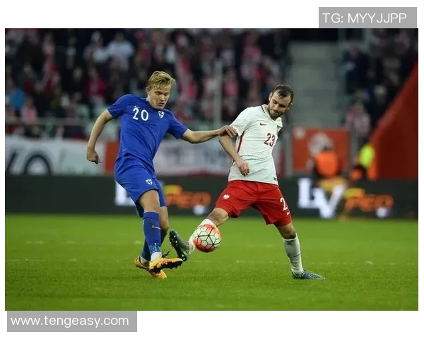 芬兰与波黑激战正酣比赛结果揭晓引发热议