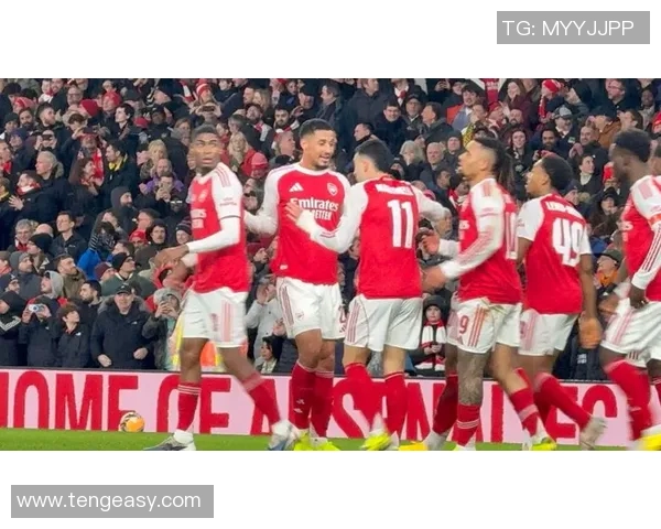 马丁内利：从新星崛起到足坛巨星的辉煌之路